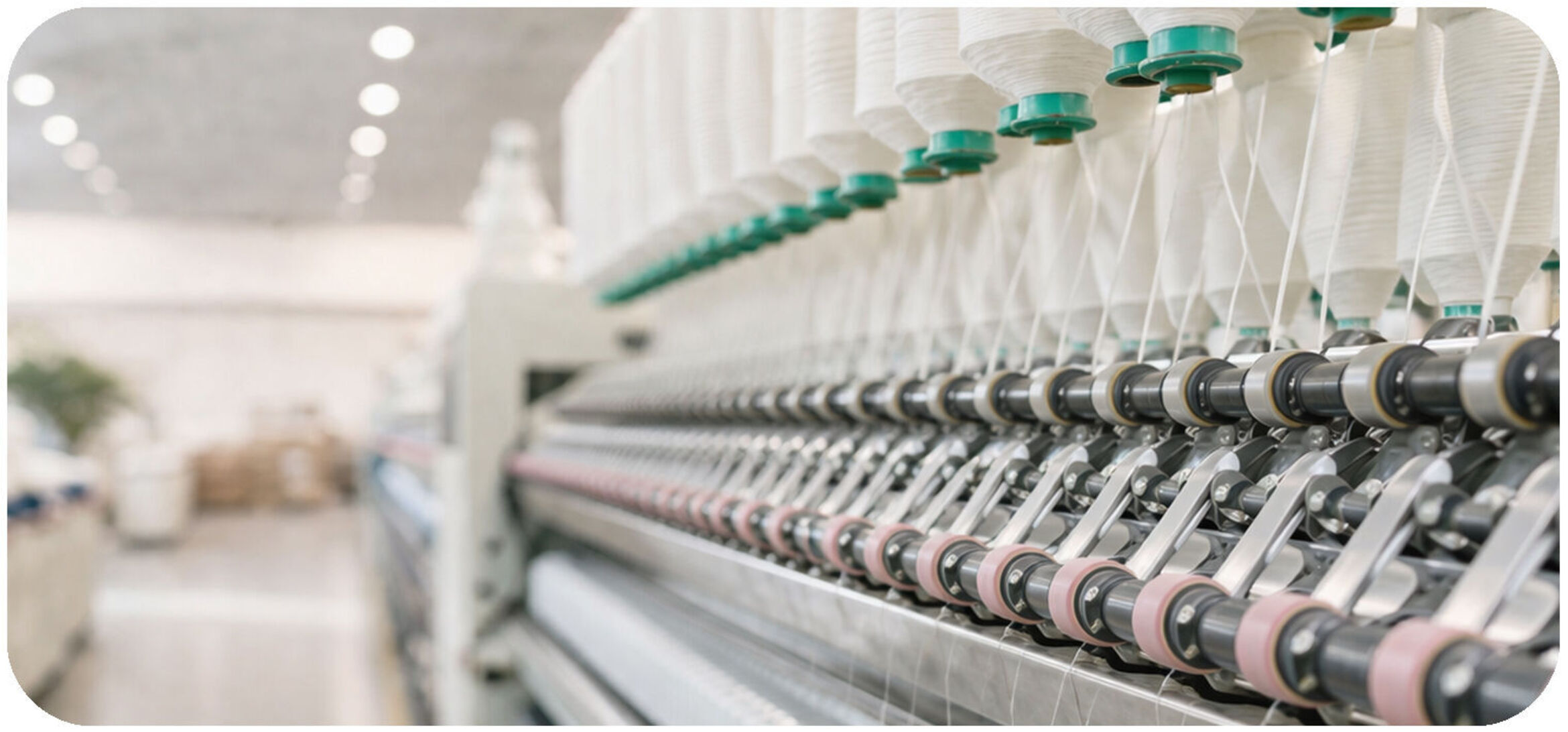 organic cotton plant t-shirt