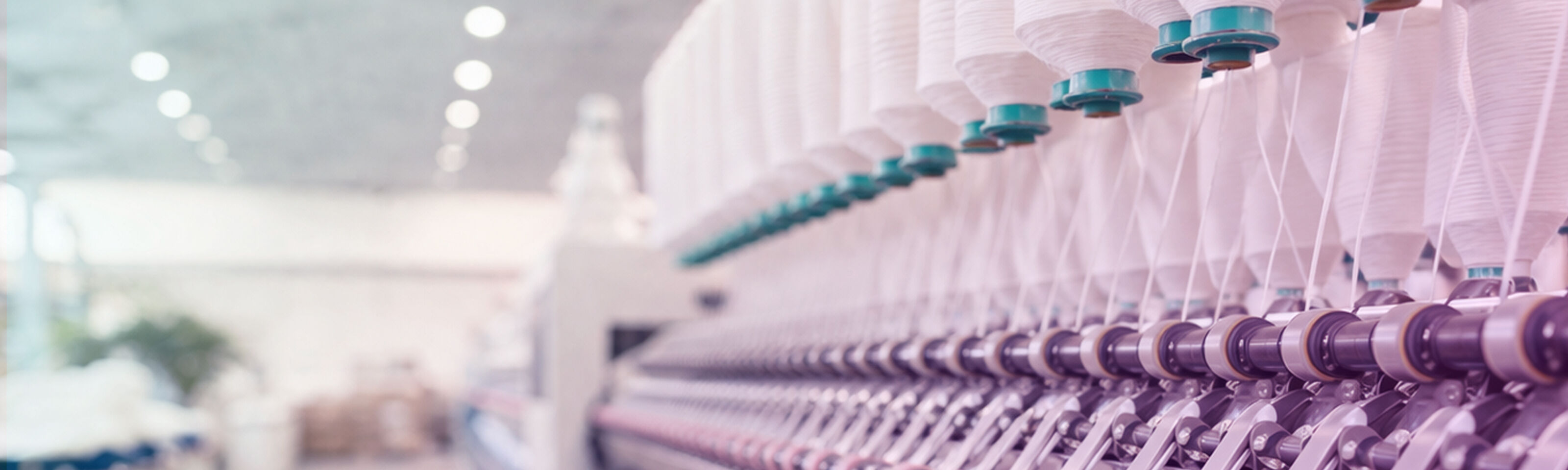 Organic Cotton from field to T-shirt