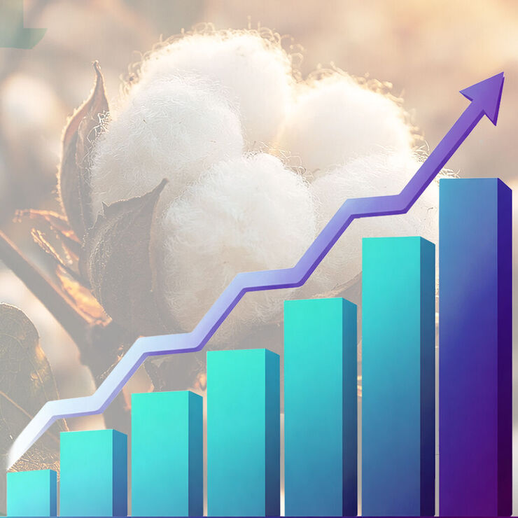 The rise of organic garments in UK retail and merchandise